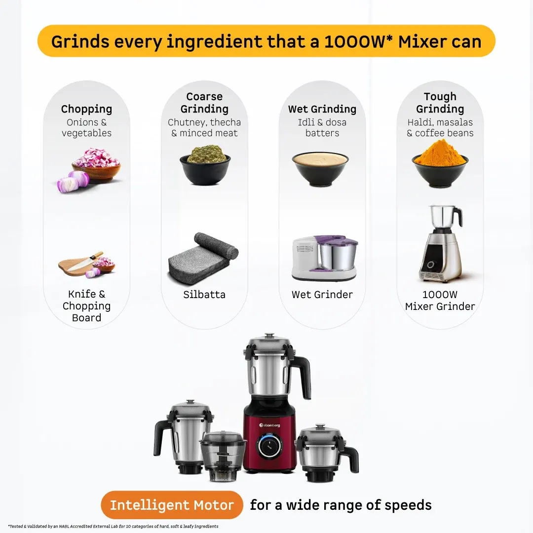 Zenova Mixer Grinder